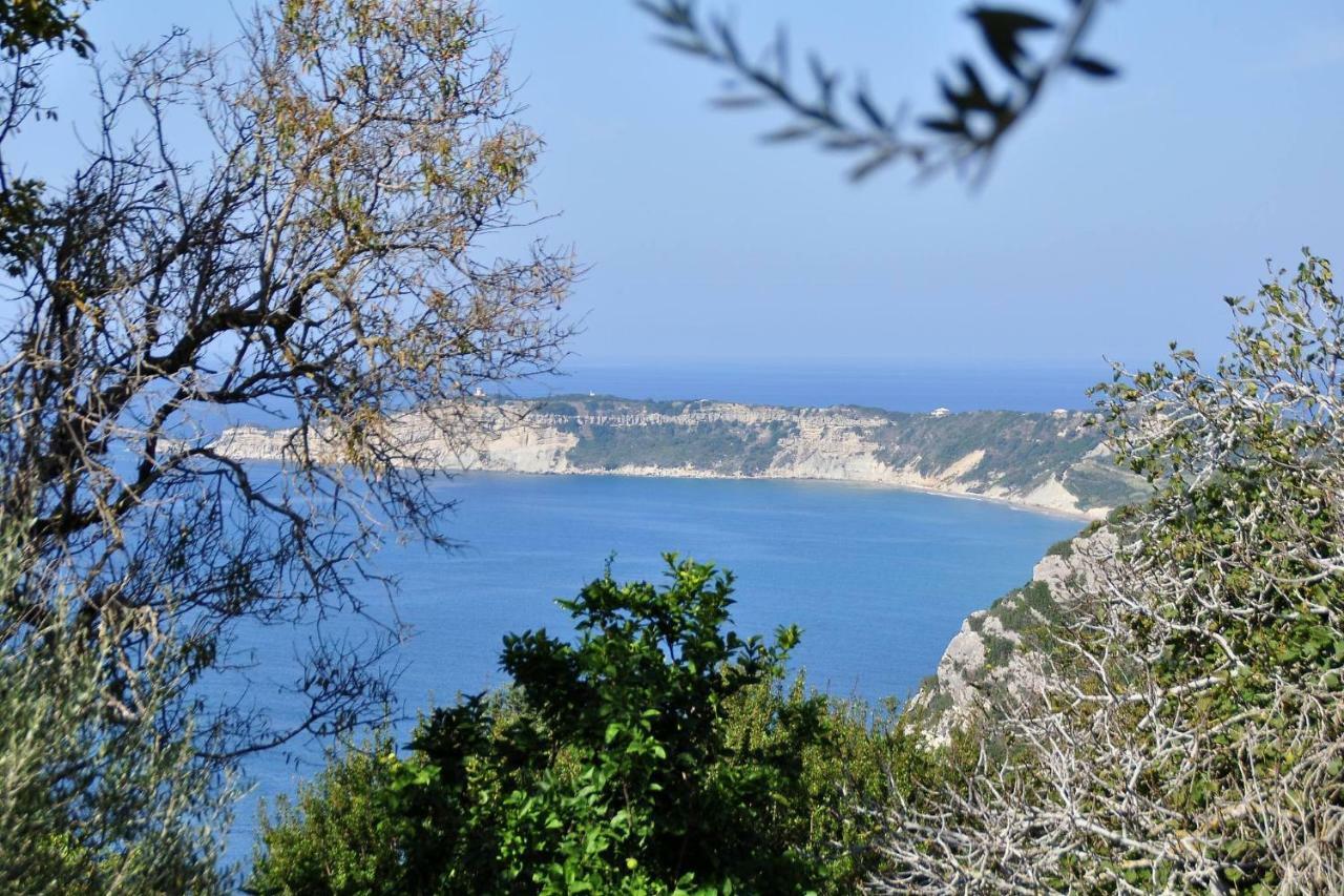 Villa Meli Afionas Corfu Bagian luar foto